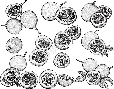 矢量手绘套西番莲果 百香果插图 美味的热带素食对象 用于餐厅 菜单 冰沙碗 市场 商店 派对装饰 餐点水果绘画食物异国热情甜点蚀图片