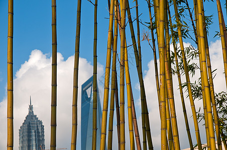 从 puxi 的上海布东风景蓝色高楼经贸景观办公室建筑旅行中心商业天空图片