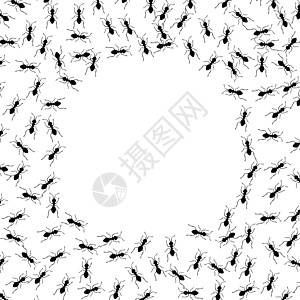 蚂蚁足迹背景 蚁群团队合作概念 昆虫群体被隔离插图更换器小路漏洞边界农药爬坡圆圈房子动物图片