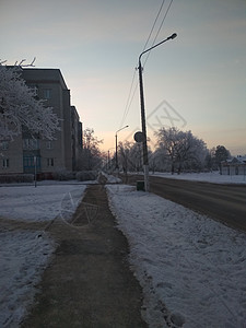 冬季城市风景 有雪树的道路和街道上的新年的圣诞节图片