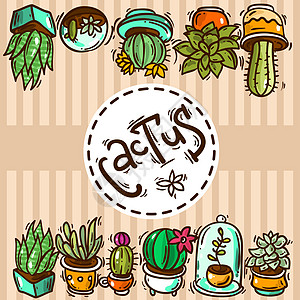 室内cacti 和succulents 非活性植物群艺术纺织品卡通片花园涂鸦插图植物学沙漠装饰品插画