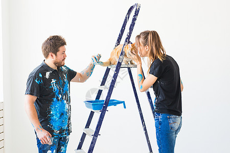 宠物 重新装修和关系概念  男女画家 设计师和工人粉刷墙壁 猫坐在梯子旁边 看着工作衬衫改造乐趣楼梯公寓绘画男性成人蓝色男人图片
