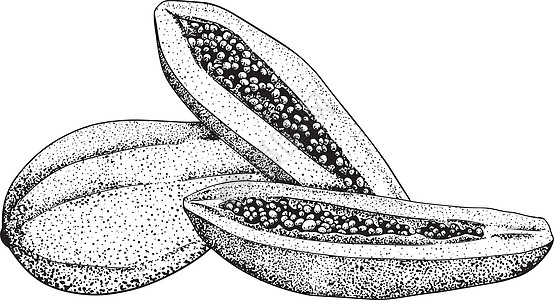 矢量手绘套木瓜 美味的热带素食对象 用于餐厅 膳食 市场 商店 菜单绘画植物维生素水果饮食墨水植物学花园涂鸦插图图片