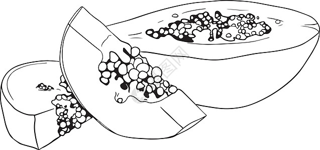 矢量手绘套木瓜 美味的热带素食对象 用于餐厅 膳食 市场 商店 菜单花园收成维生素水果手工饮食涂鸦植物异国情调图片