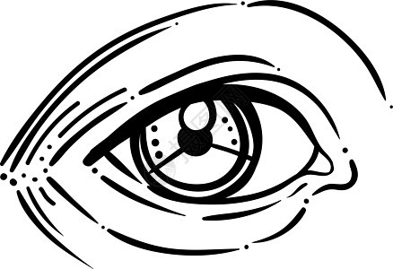 以刻画风格显示人类眼睛的矢量插图 用黑色孤立的手绘睫毛绘画男性镜片眼科眼球女性墨水标识药品背景图片