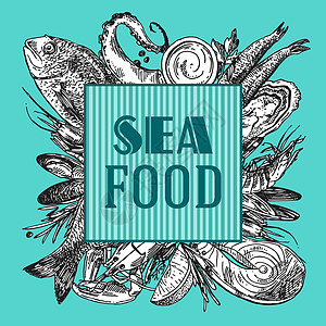 手工绘画的矢量图解海洋食物 古老的素描风格菜单螃蟹贝类贝壳乌贼美味海报框架龙虾收藏图片