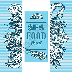 手工绘画的矢量图解海洋食物 古老的素描风格牡蛎美味贝类框架草图插图厨房菜单市场餐厅图片