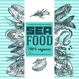 手工绘画的矢量图解海洋食物 古老的素描风格贝壳横幅烹饪草图海报贝类章鱼动物产品框架图片
