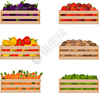 一套明亮的夏日套装 由装有成熟蔬菜的木箱组成 例如茄子 西红柿 甜椒以及土豆 胡萝卜和黄瓜 孤立的矢量图解图片