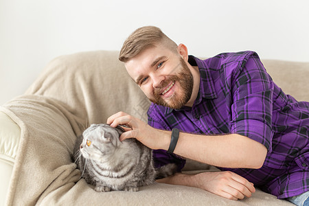 时髦的长胡子男嬉皮士在沙发上摆着他美丽的灰色苏格兰式折叠猫小猫婴儿宠物潮人短发毛皮工作室尾巴猫咪眼睛图片