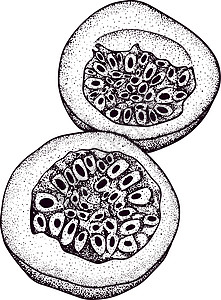 矢量手绘套西番莲果 百香果插图 美味的热带素食对象 用于餐厅 菜单 冰沙碗 市场 商店 派对装饰 餐点草图水果收藏热情叶子标签甜图片