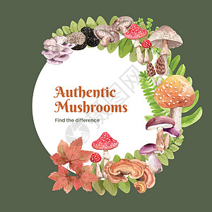 含蘑菇和森林植物概念 水彩色风格的防洪模板季节广告饮食植物群食物插图营销婚礼菌类水彩图片