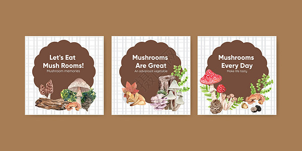 带有蘑菇和森林植物概念 水彩色风格的板条模板收成插图蔬菜植物学广告季节饮食植物群食物菌类图片