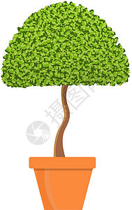 插件矢量说明中的树灌木花盆空地树叶花园艺术植物矮人园林生态背景图片