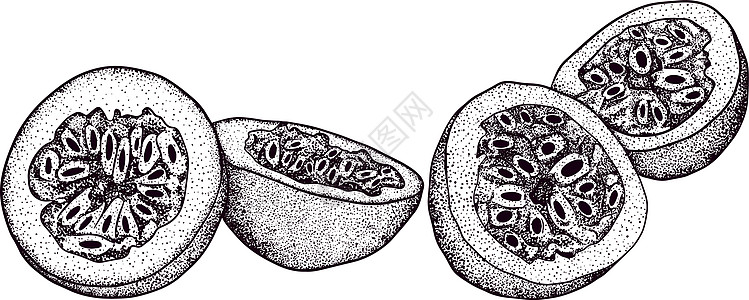 矢量手绘套西番莲果 百香果插图 美味的热带素食对象 用于餐厅 菜单 冰沙碗 市场 商店 派对装饰 餐点水果叶子蚀刻甜点紫色热情异图片