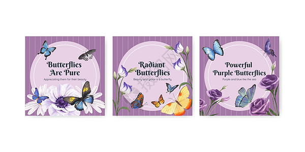 带有紫和蓝蝴蝶概念 水彩色风格的板条模板广告插图装饰品蓝色花园动物植物水彩树叶装饰图片