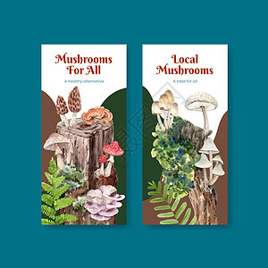 带有蘑菇和森林植物概念 水彩色风格的飞板模板小册子广告插图水彩收成蔬菜植物学饮食季节菌类图片