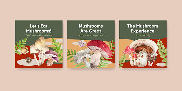 带有蘑菇和森林植物概念 水彩色风格的板条模板收成广告季节饮食林地营销菌类插图植物群蔬菜图片