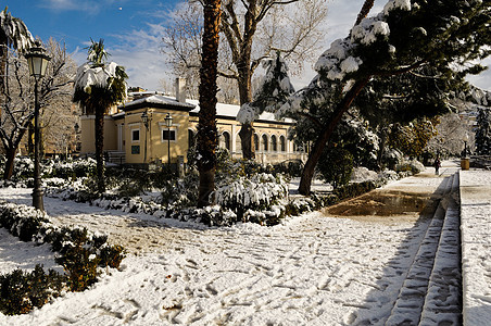 人行道上有雪花的雪暴 格拉纳达Granada树木天气景观暴风雪公园城市季节下雪街道气候图片