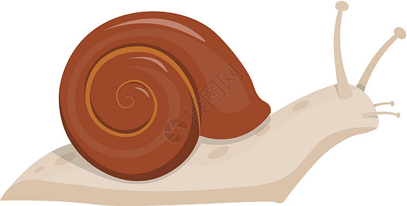 可爱的蜗牛卡通矢量插图图片