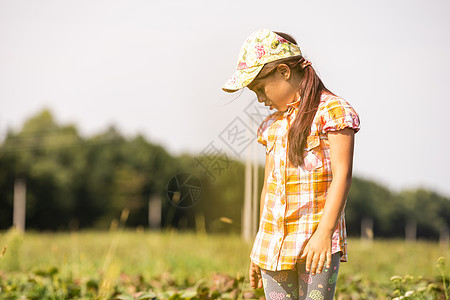 快乐的年轻女孩在种植场上采摘和吃草莓场地乐趣眼睛婴儿水果微笑童年幸福女性农场图片