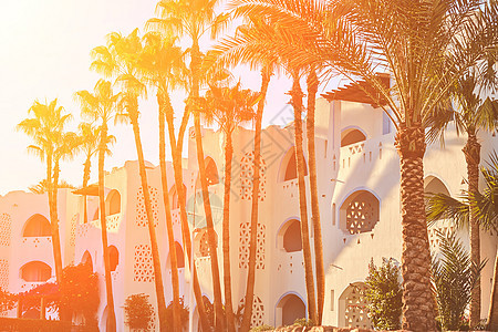 清晨美丽的埃及旅馆 太阳耀斑图片