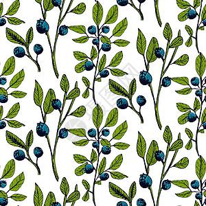 手画蓝莓无缝图案 白色背景上的孤立果树枝草图 夏季水果雕刻样式插图饮食食物菜单覆盆子绘画营养植物学植物森林叶子图片