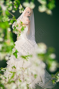 美丽的年轻新娘头部和脸部都戴着面纱肩带女性婚礼倾斜婚姻浪漫成人下巴女士裙子图片