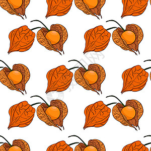手画的植物 植物和水果 无缝结构 托马提洛模式 超级食品 矢量手绘制插图手绘水彩墙纸植物学花园季节食物绘画酸浆饮食图片