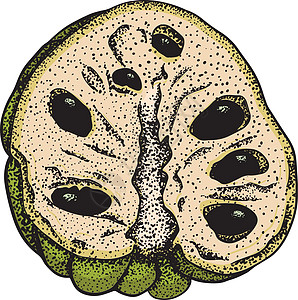 矢量手绘套番荔枝 糖苹果插图 美味的热带素食对象 用于餐厅 菜单 冰沙碗 市场 商店 派对装饰 餐点种子植物学植物甜点花园食物草图片