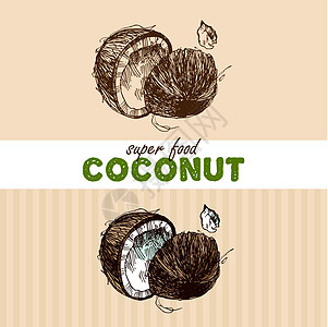手工绘制的矢量说明超食品热带植物异国可可草图情调叶子棕榈艺术饮食图片