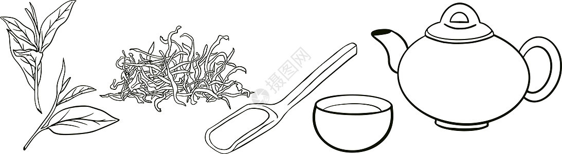 图形样式中的茶叶收集元素 手绘矢量图解 彩色页面叶子手工杯子菜单植物食物草本植物树叶玻璃茶壶图片