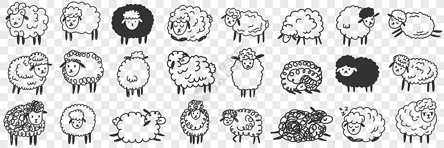 有趣的白色和黑黑色羊群动物婴儿农村荒野多样性毛皮农场孩子圆圈野生动物草图图片