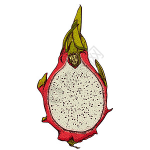 矢量手绘制了一套皮加亚 龙果插图 美味的热带素食物品情调草图热带手绘植物饮食菜单果汁水果甜点图片