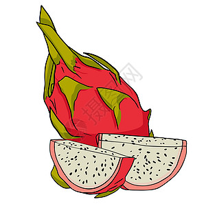 矢量手绘制了一套皮加亚 龙果插图 美味的热带素食物品热带情调菜单甜点涂鸦草图饮食食物植物异国图片