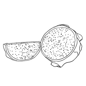 矢量手绘制了一套皮加亚 龙果插图 美味的热带素食物品涂鸦菜单甜点植物热带情调饮食食物水果异国图片