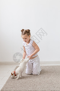 宠物 儿童和动物概念     被爪子抱小狗的女童友谊猎犬工作室地面乐趣幸福灰色衬衫黑发白色图片