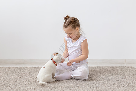 童年 宠物和狗的概念  小狗和穿白衬衫的小女孩玩得开心犬类猎犬工作室女孩幸福乐趣灰色白色地面黑发图片