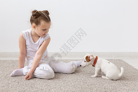 儿童 宠物和动物概念  小女孩在室内和她的杰克罗素梗犬玩耍猎犬白色工作室微笑友谊地面幸福犬类灰色黑发图片