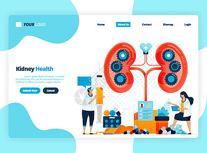检查肾脏健康的插图 肾脏疾病和病症 检查和处理内脏器官 专为登陆页面 模板 ui ux 网站 移动应用程序 传单 小册子而设计诊图片