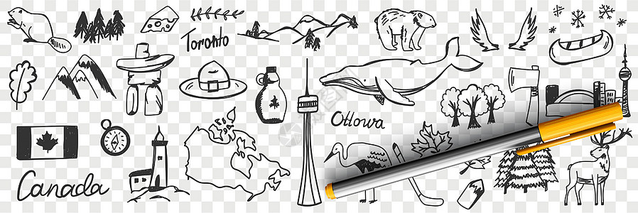 加拿大的符号和标志 涂鸦套苍鹭森林草图刻字插图野生动物旗帜艺术国家罗盘图片
