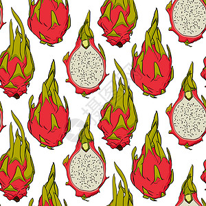 矢量手绘制了无缝的皮加亚模式 龙果插图 美味热带素食模式甜点手绘食物营养种子绘画菜单植物草图水果图片