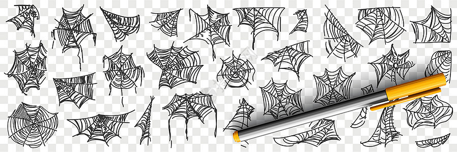 蜘蛛网型图纸草图手绘动物蛛网铅笔角落涂鸦收藏卡通片蛛形图片