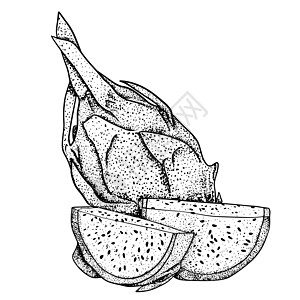 矢量手绘制了一套皮加亚 龙果插图 美味的热带素食物品植物果汁异国水果食物甜点饮食草图手绘情调图片
