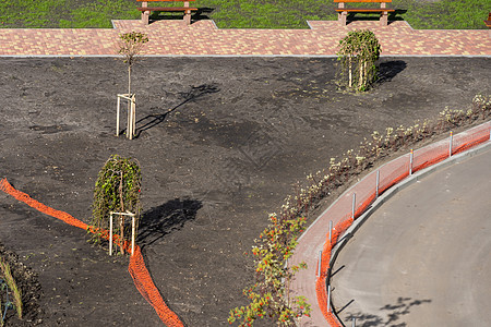 秋天在城市公园植树 用木桩来帮助它生长旅行地球活力植物绿色植物风景工作树苗旅游目的地图片