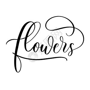 花朵  带平滑线的矢量书纹标识温泉瑜伽目录艺术女士沙龙绿叶商业植物背景图片