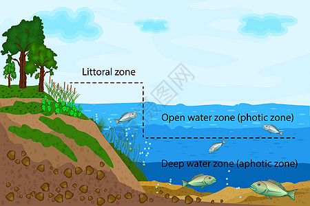 湖生态系统 湖水量测量中的纬度湖泊支撑环境科学池塘方案植物风景信息湿地图片