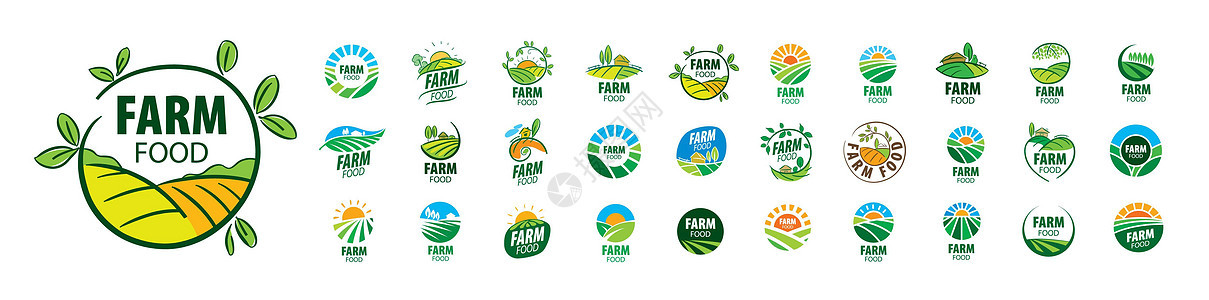 一组白色背景的矢量农场食品标识集图片