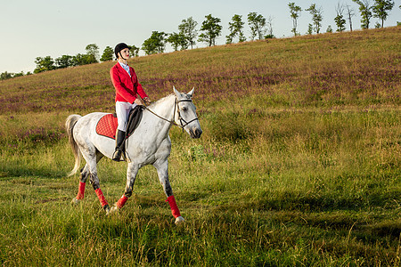 骑红马的女骑士 骑马 赛马 骑马的人女性竞赛动物鞭策马具驯服者时尚服饰哺乳动物运动图片