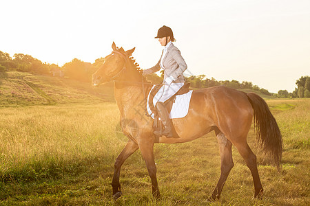 马术运动 年轻女子骑马参加着装高级测试 太阳耀斑动物场地成人比赛骑术课程运动训练马术女性图片
